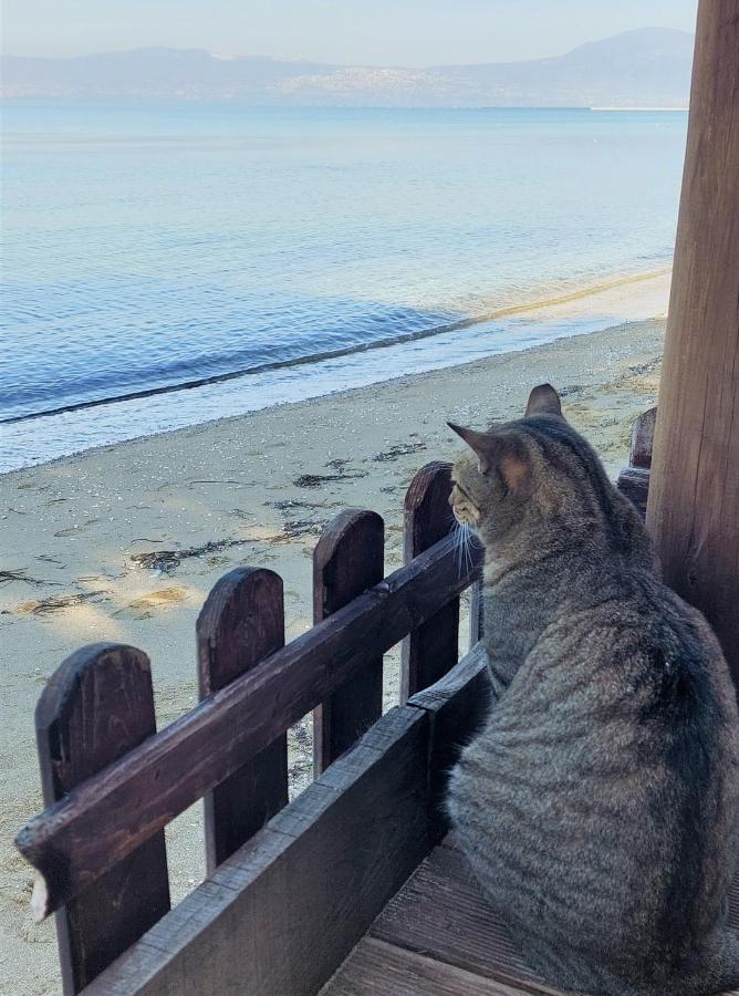 Niko'S Apartment - Beautiful Sea View Apartment ! Peraía 外观 照片